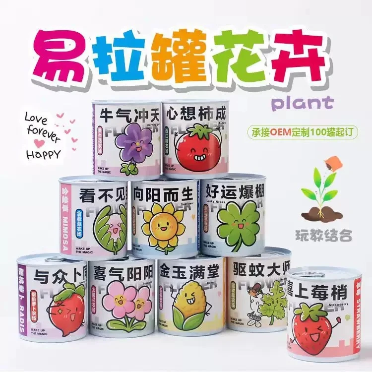 易拉罐植物定制学生礼品礼物盆栽迷你桌面种子植物