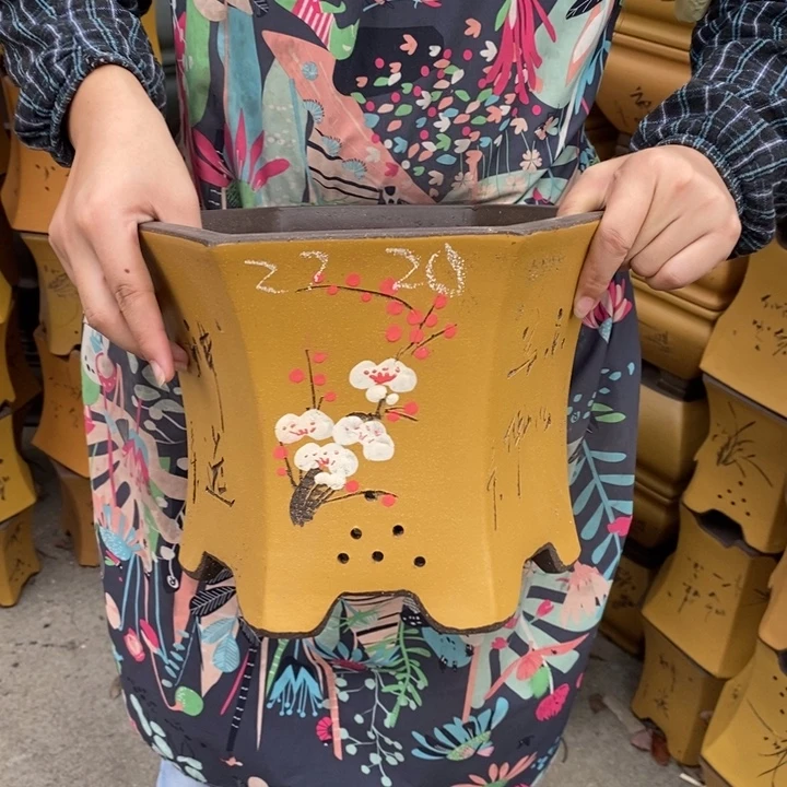 紫砂花盆只顾看了看她