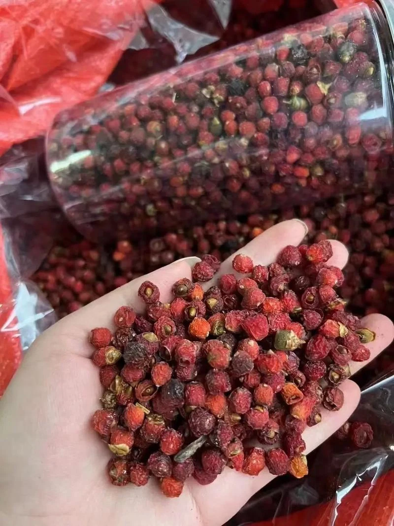 小黄土特产≈[紫杉果]