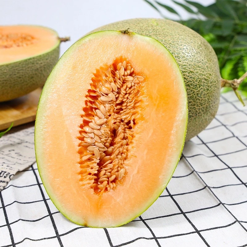 JD快递 海南新鲜沙地哈密瓜5-8斤 皮薄酥脆香甜
