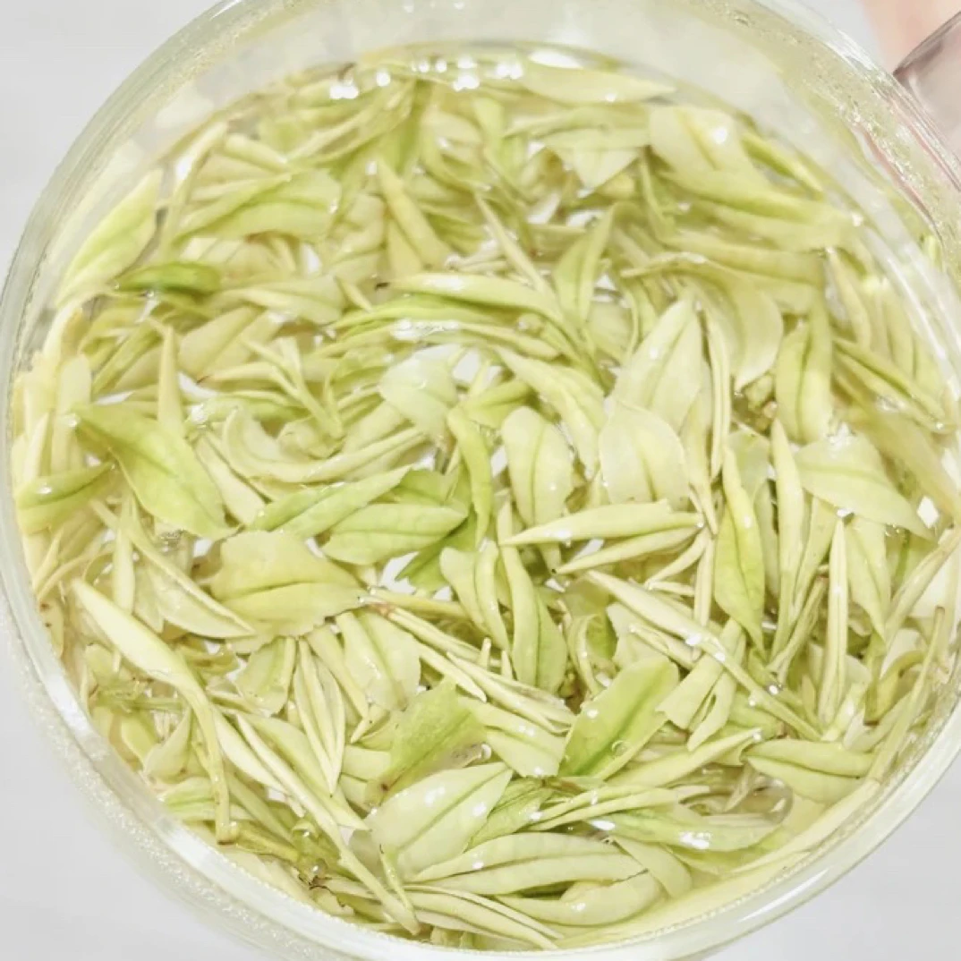 限定福利【特级熊猫奶白】白化度鲜甜度高-2025奶香奶白