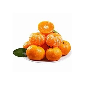 广西砂糖橘小箱毛重7斤