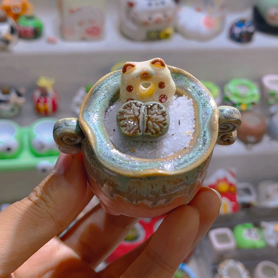 045绿体菊带盆土一套28