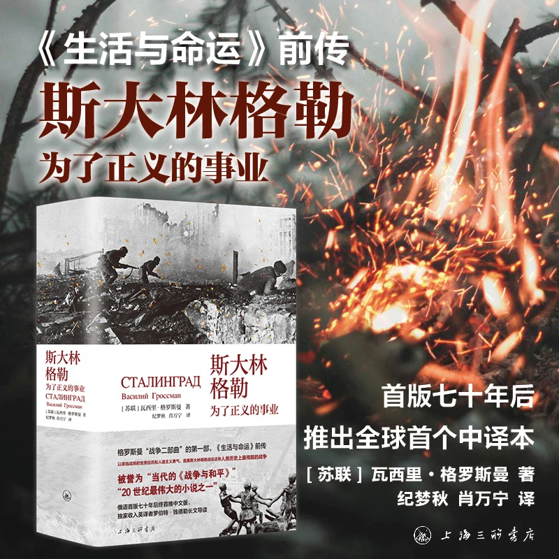 斯大林格勒：为了正义的事业  俄语小说书籍