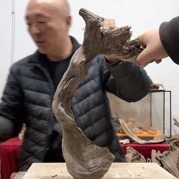 柏木木****店我们的生活也会越来越