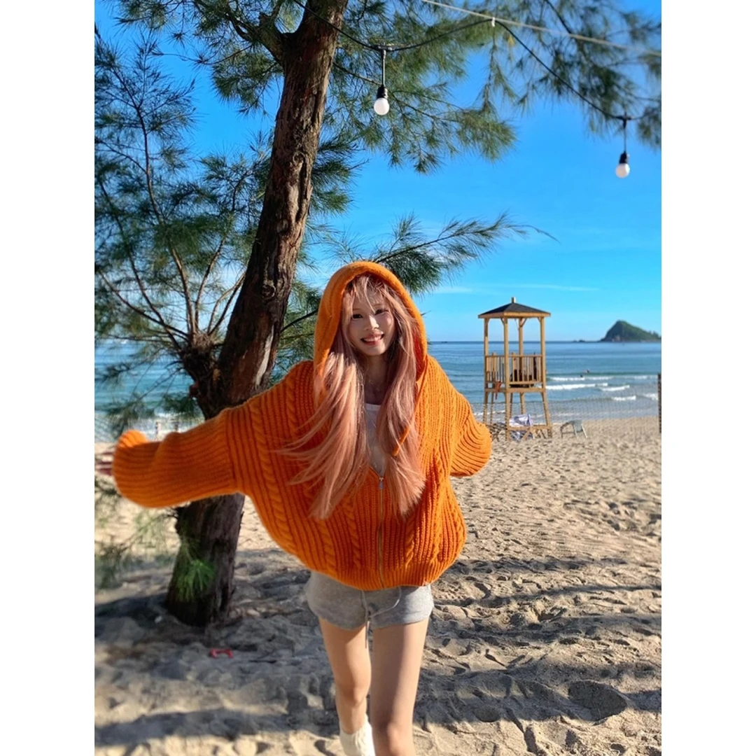 美式慵懒风多巴胺配色连帽毛衣男女入秋重磅三针麻花秋冬针织毛衫