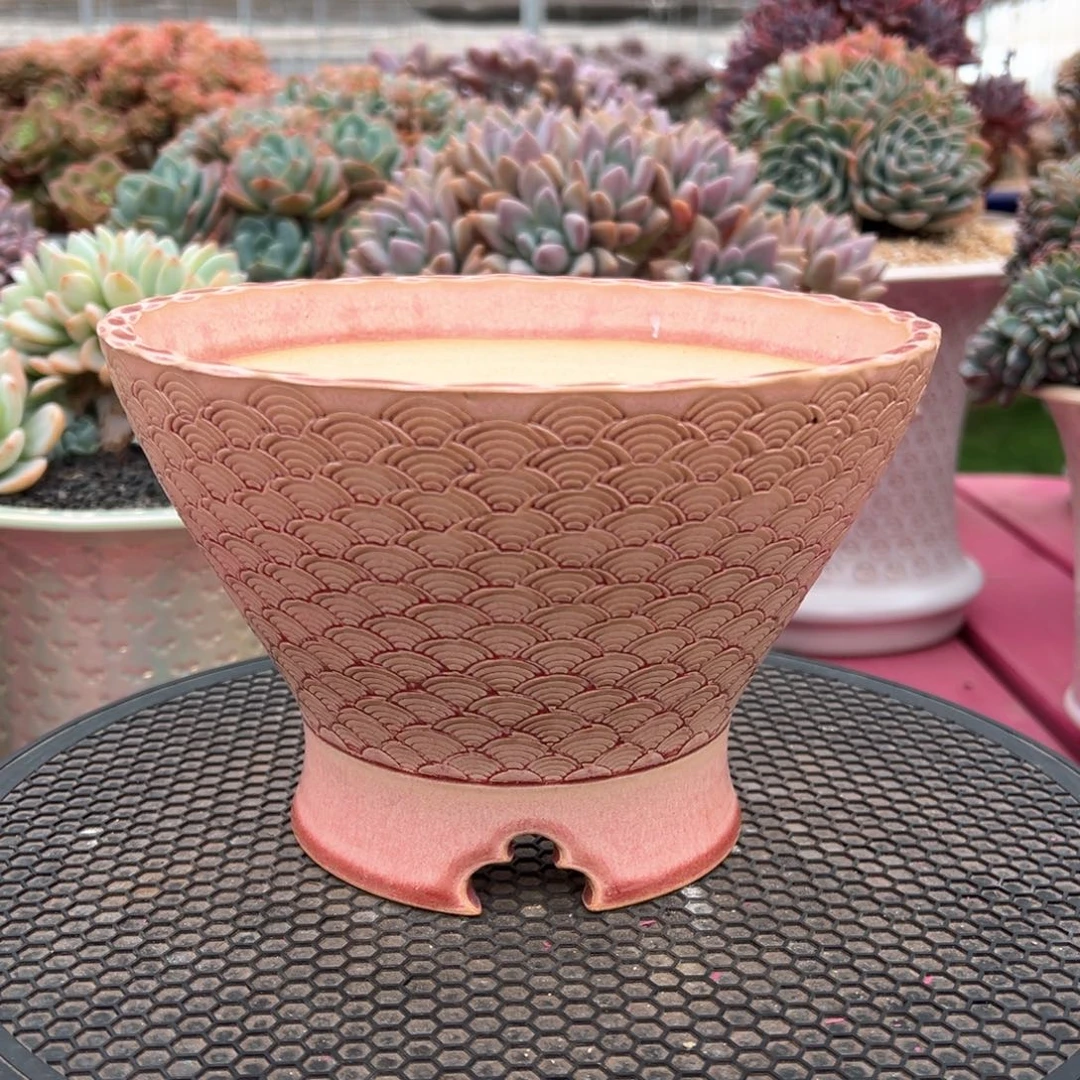 大盆0528-001P人鱼斗笠外口18.5cm