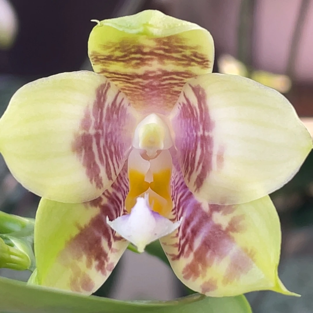 完全开放33331111111111