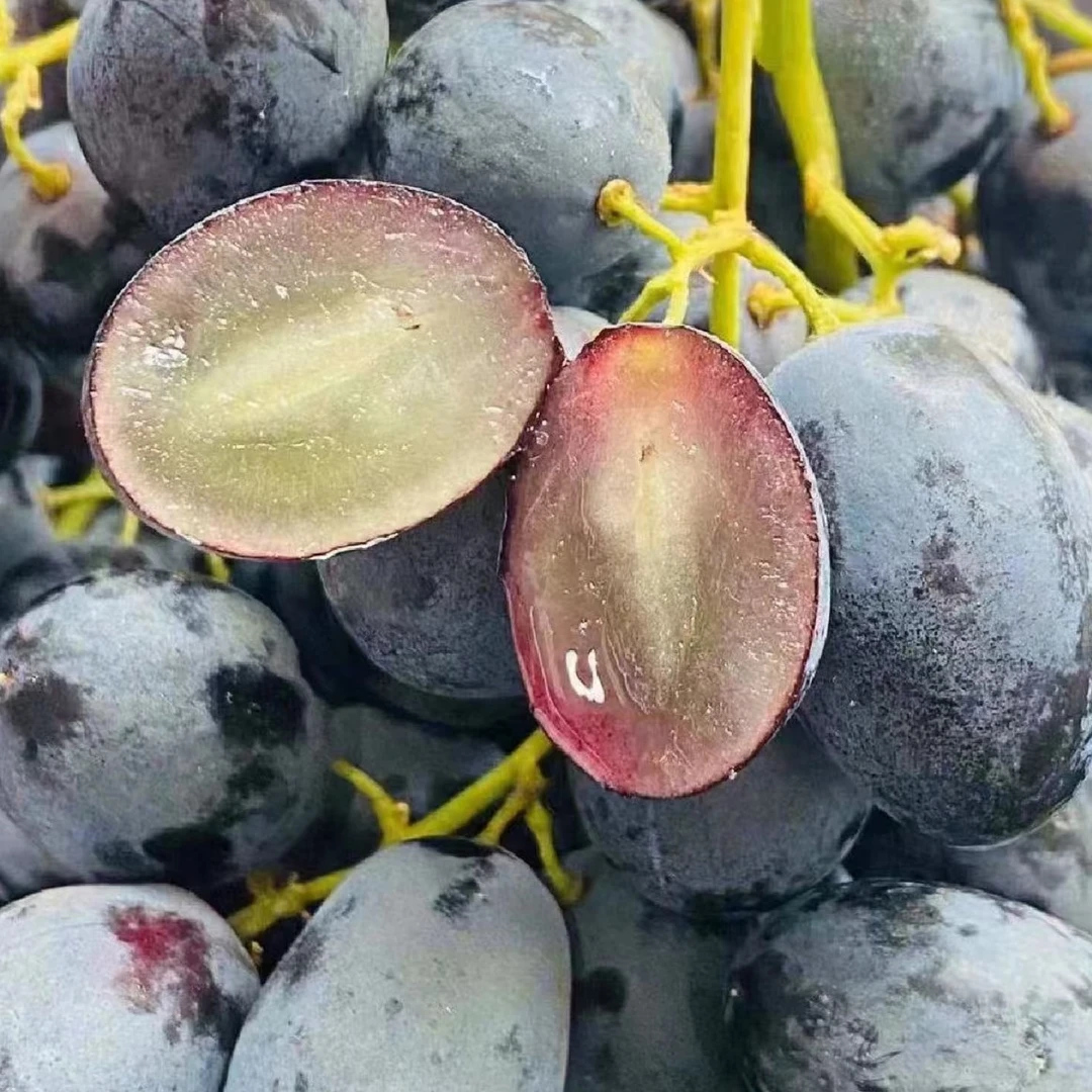 果切【洗净剪枝】黑提 约400g/份