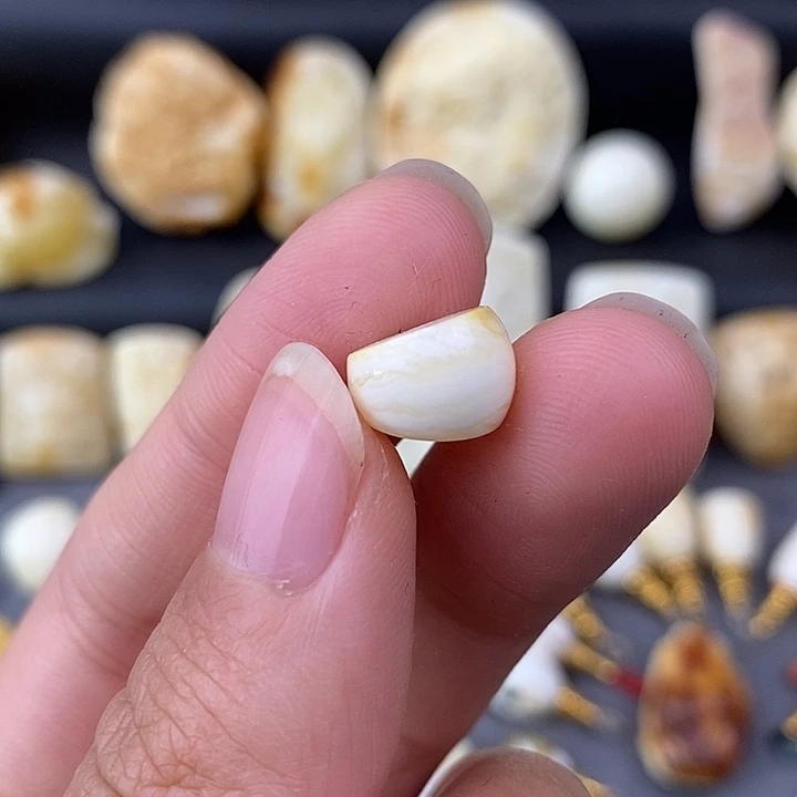 琥珀未镶嵌裸石11虎皮马蹄小微瑕