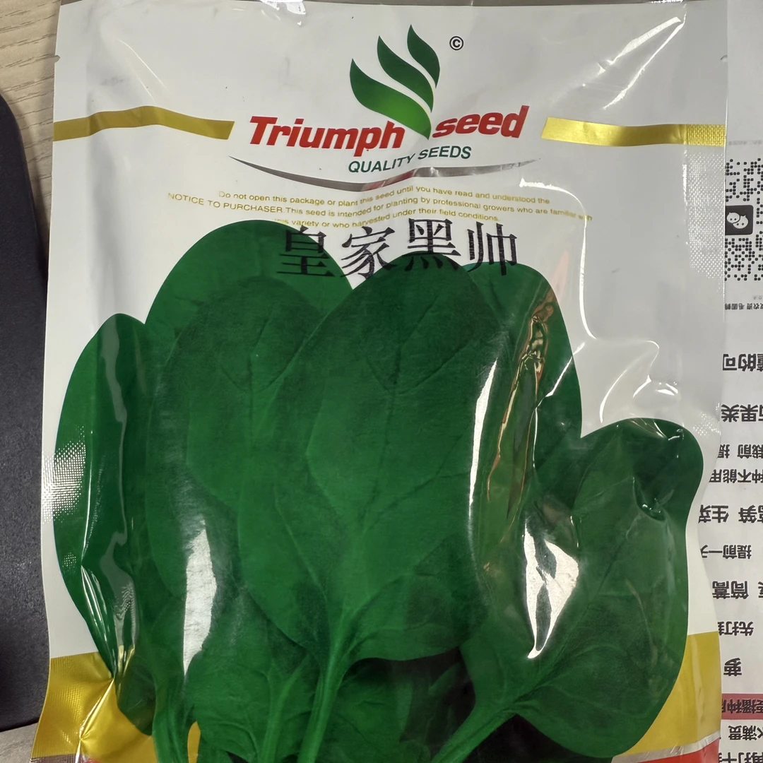 皇家黑帅 特级波 叶片好看直立