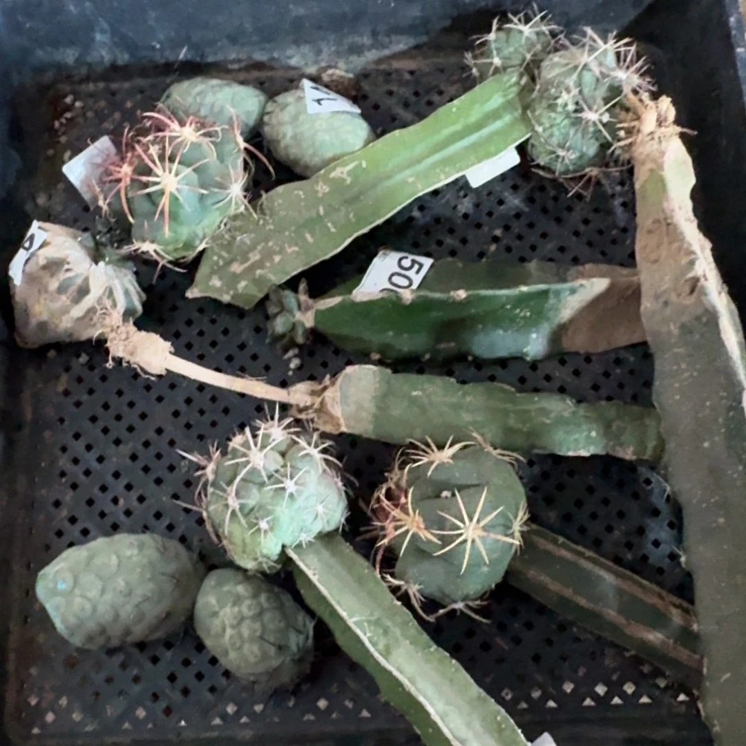 【闪购商品】清货一筐