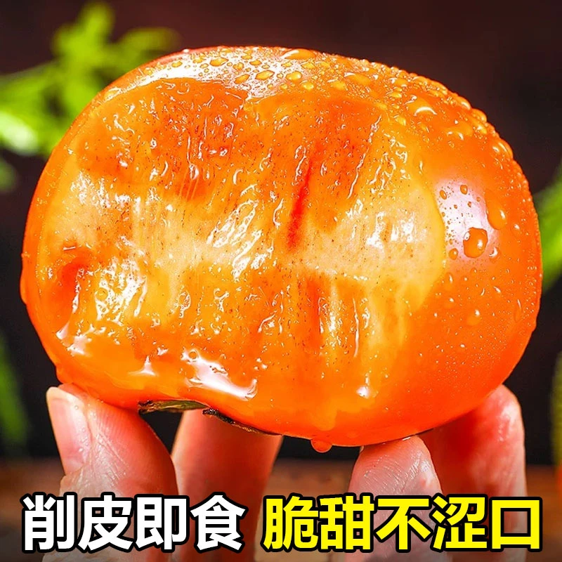 【新鲜采摘】精选山西巧克力柿子阳丰冰糖心脆甜不涩口整箱包邮批发