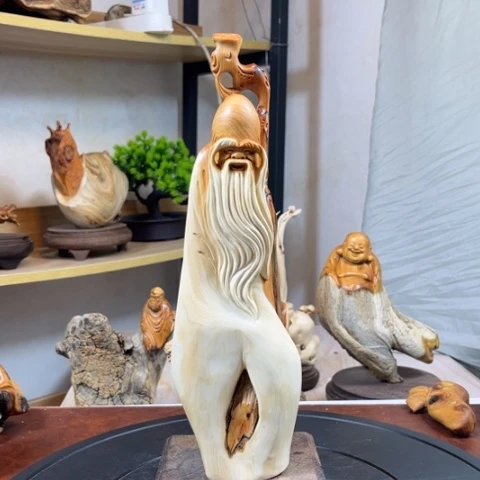 柏木（崖柏）v v h g h b h j n