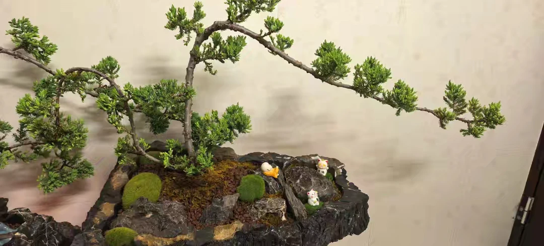 灵璧天然奇石石头花盆，非常有意思的花盆