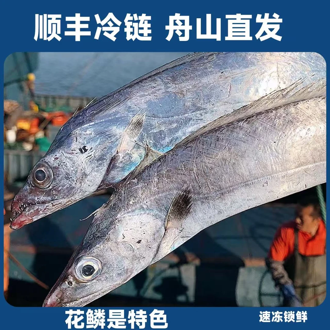 舟山雷达网小眼睛带鱼无冰衣整条发货顺丰舟山直发大小可选