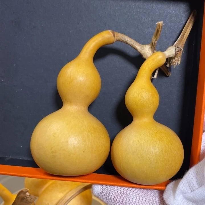 仙仙儿葫皮皮葫买一送一啦～