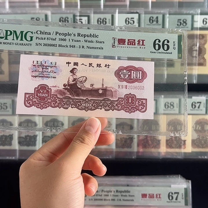深墨版一品红无47福利包邮