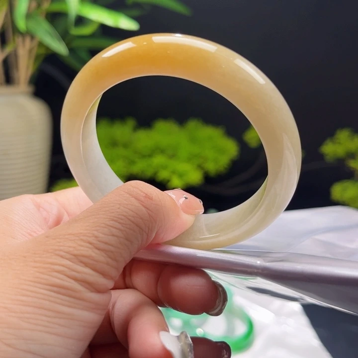 未镶嵌手镯翡翠54.3