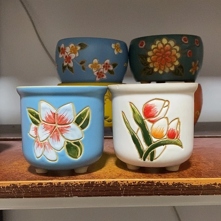 韩式多肉植物花盆