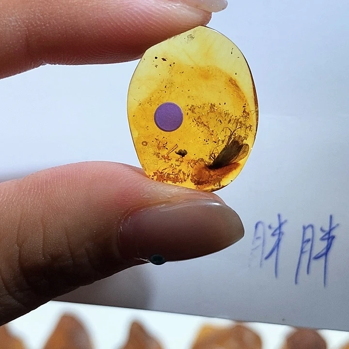 未镶嵌颈饰琥珀琥珀虫珀吊坠
