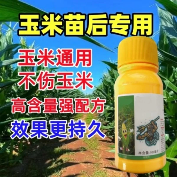 玉米苗后专用不伤玉米大田农田玉米专用水溶喷施技术肥