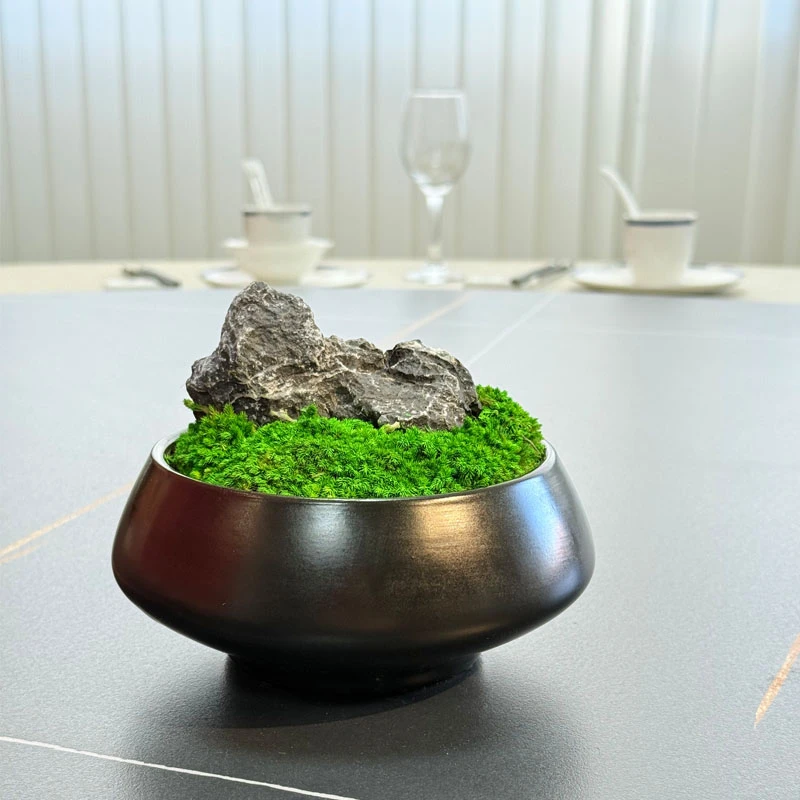 简约风永生苔藓盆景摆件餐桌洽谈桌茶几酒店样板房桌面装饰花绿植