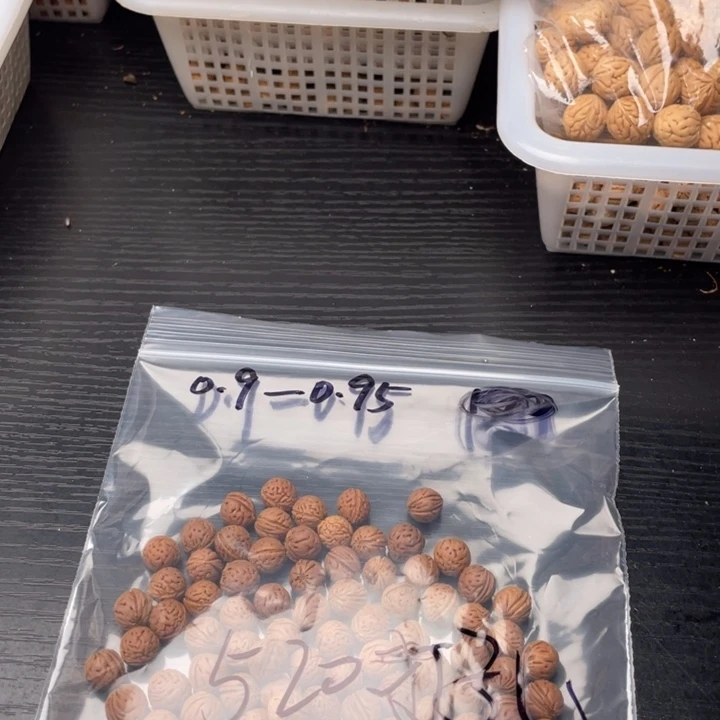 【闪购商品】核桃其他阿****?私人定制不退不换520