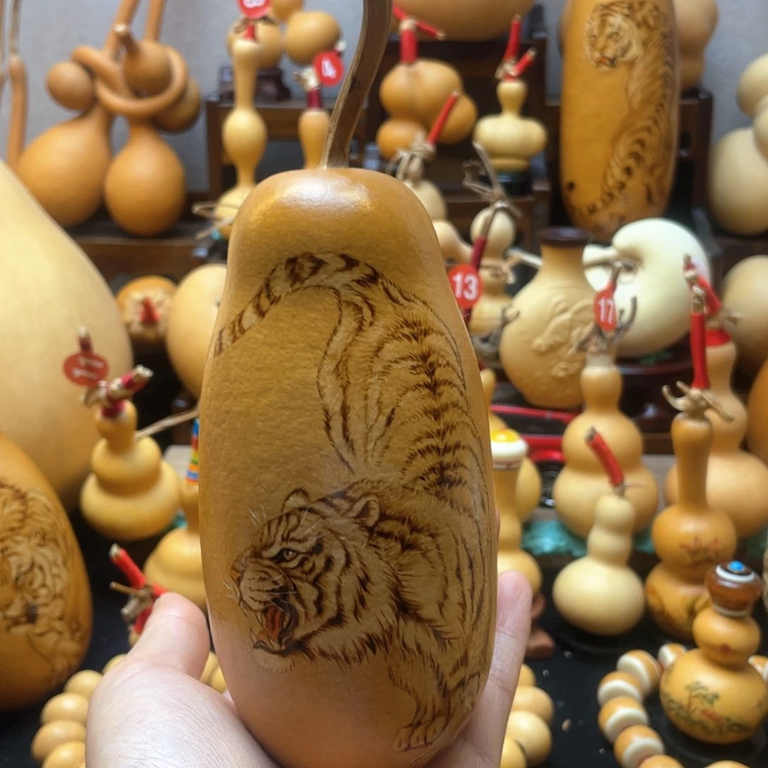 大***海大自然的秘密第十一节你是谁