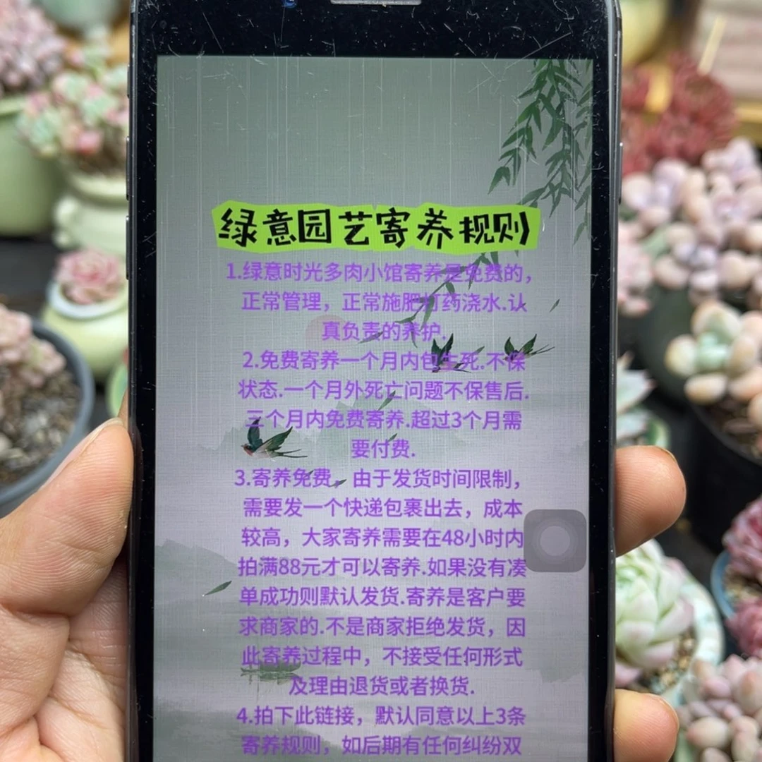 冷**?绿意时光多肉寄养链接