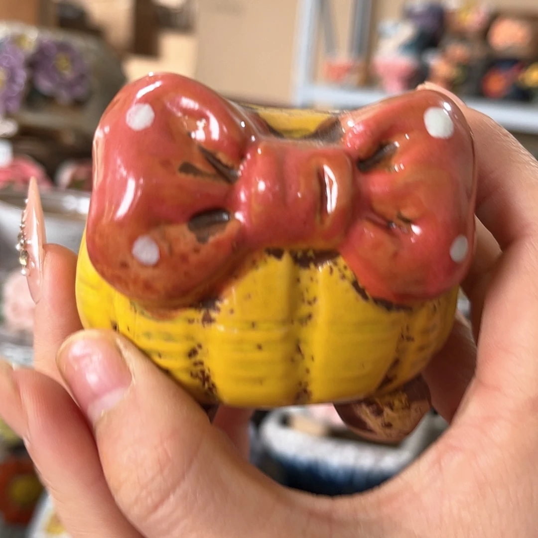 【闪购商品】红陶颜色随机