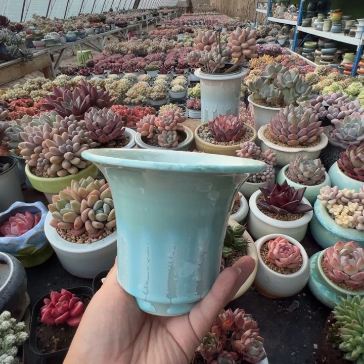 特价花盆满50发货 内口12