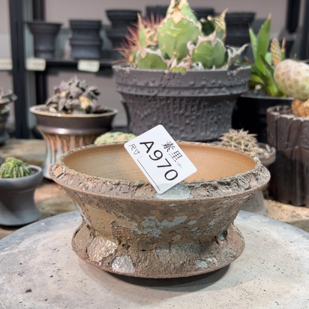 景德镇手工素里内口14.5高8