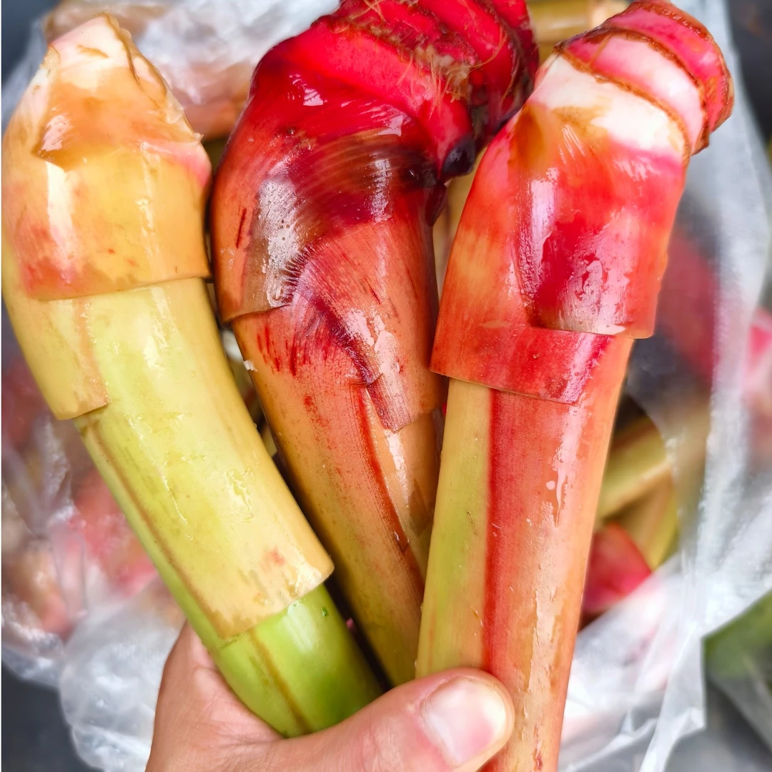 云南草果新鲜草果芽凉拌香脆