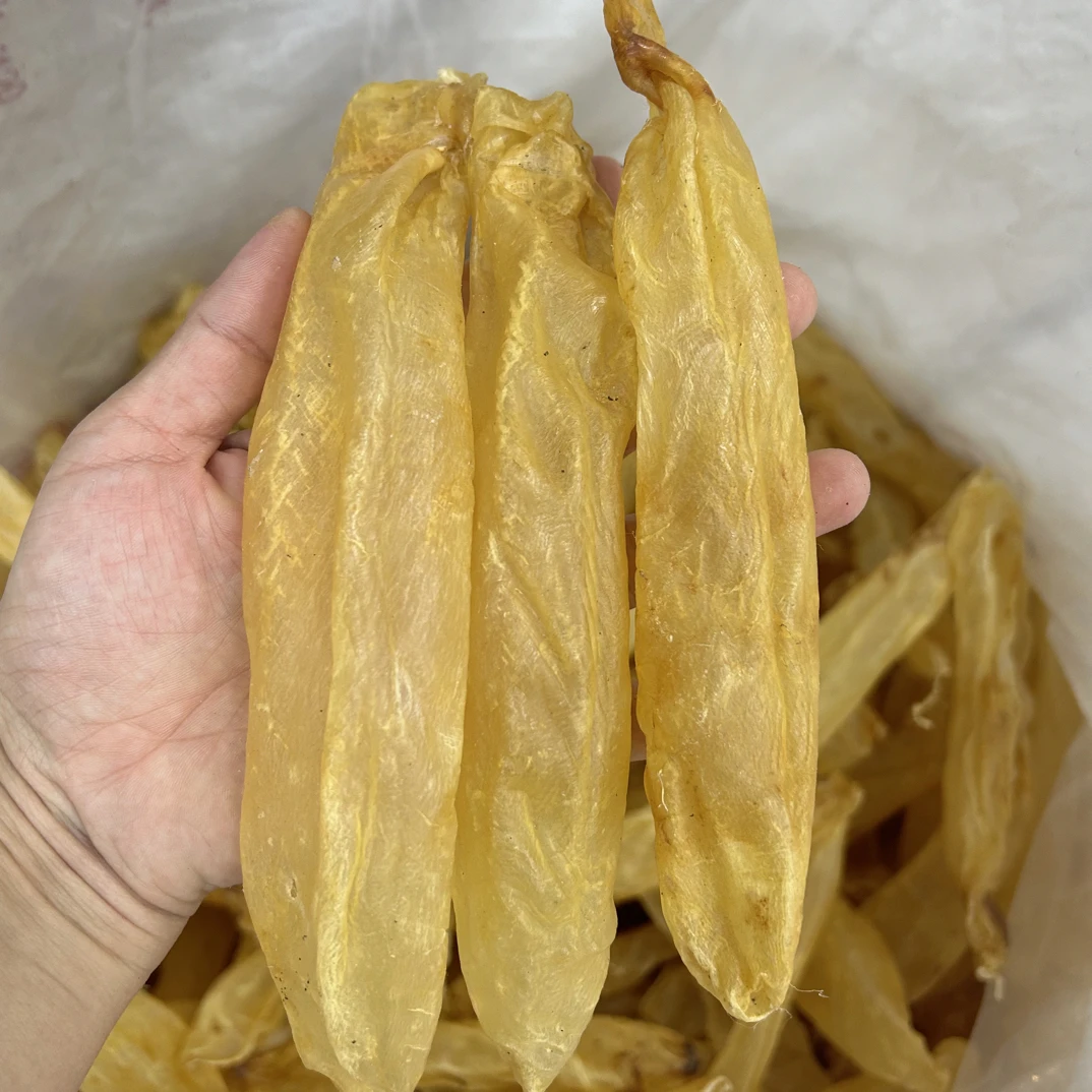 26头野生老胶，甲肚蜘蛛筒