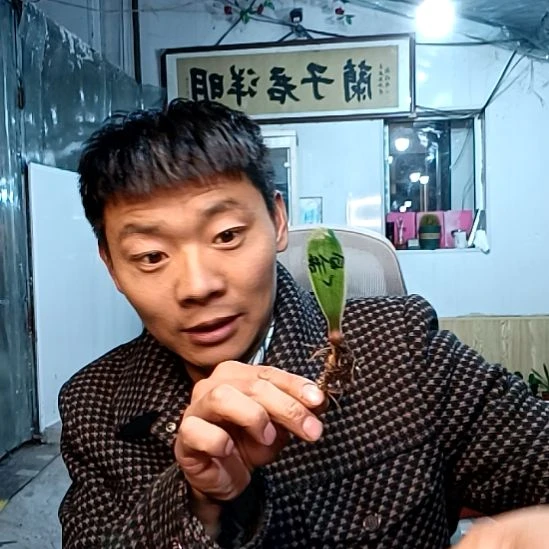 大江118元血佛一颗