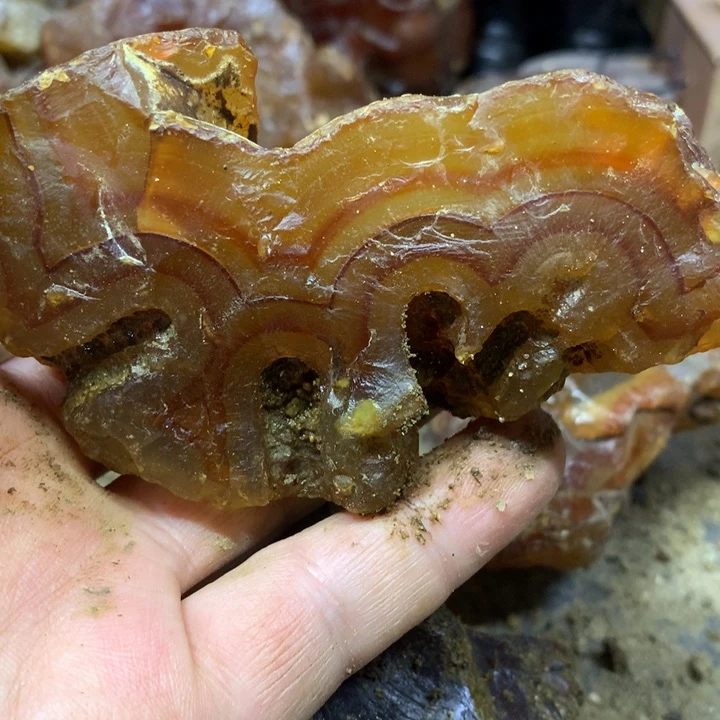 玛瑙/玉髓未镶嵌原石明*