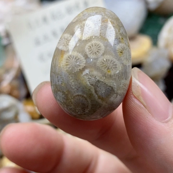硅化珊瑚（珊瑚玉）未镶嵌颈饰
