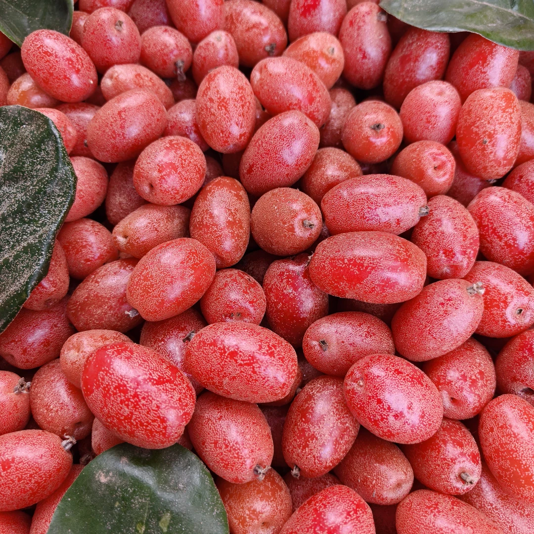 甜杨奶果枣约1000g