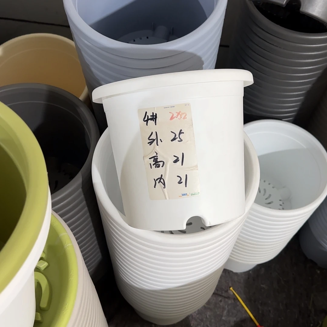 微瑕4号8个无托，白色