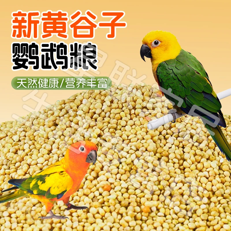 【宠大条】鹦鹉鸟粮饲料黄谷子带壳新粮食玄风虎皮牡丹中小型鸟食