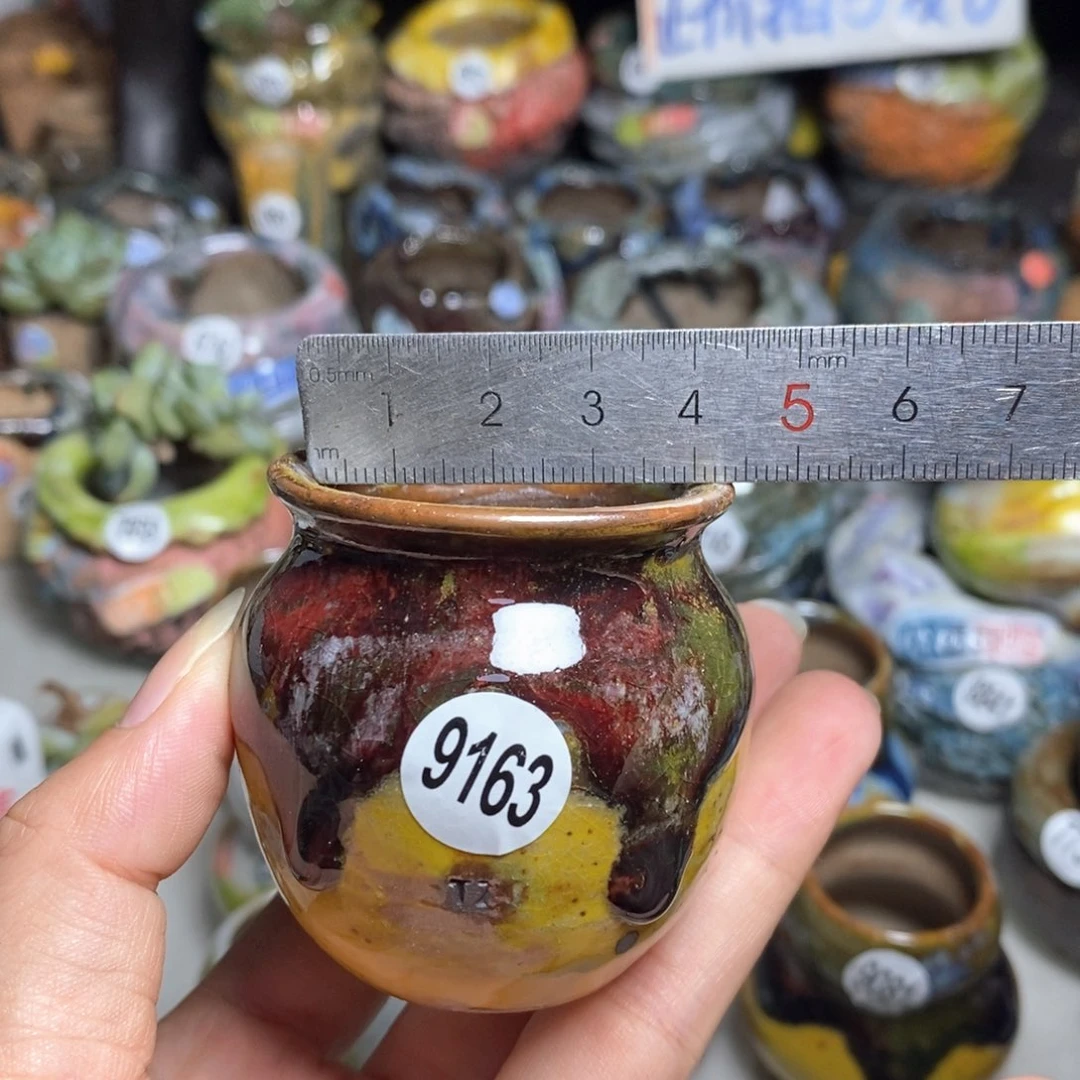 拍5送一个小礼物