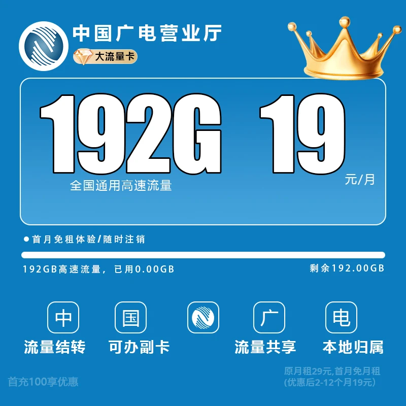 中国广电流量卡广电卡流量卡中国广电流量卡192g官方办理-X1N