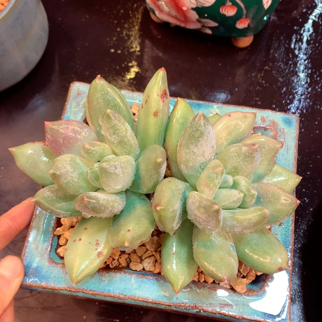 在在在在在在在在我现在