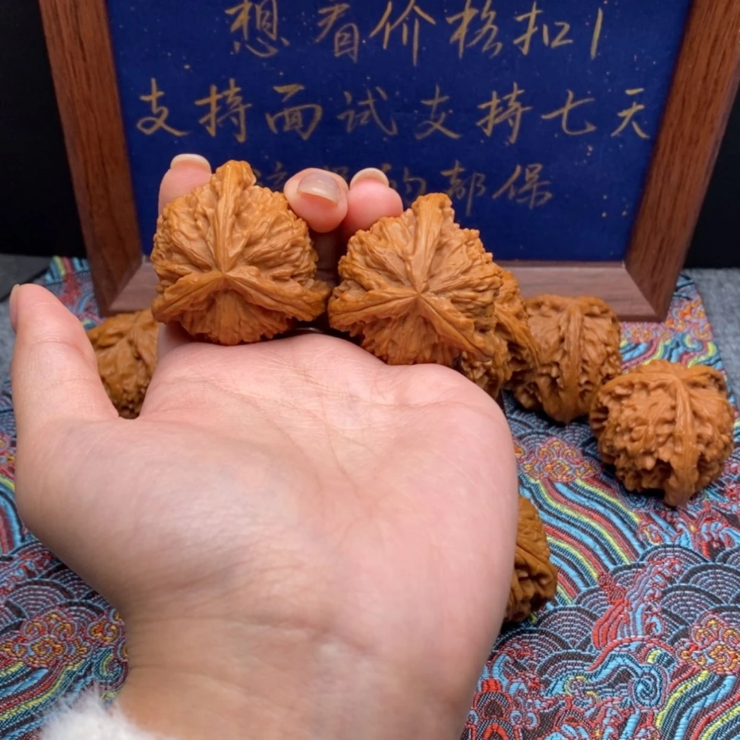 【闪购商品】刚*好白狮