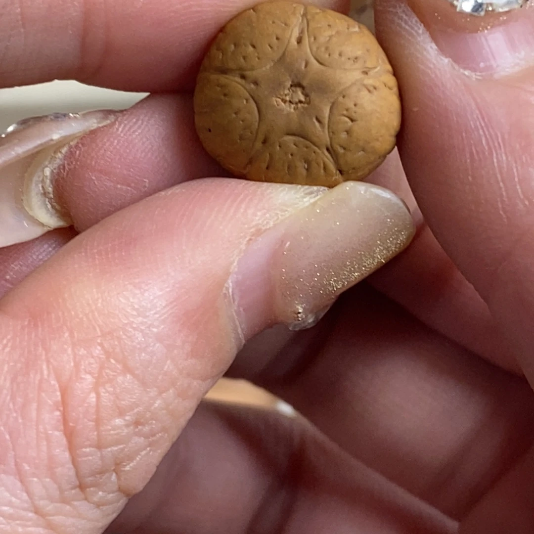 吊坠凤眼菩提五星上将16