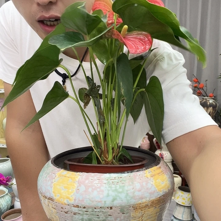 花盆里面面前说了吗你