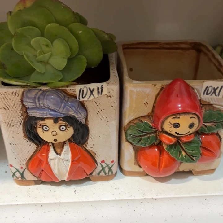 多肉花盆满15包邮爱退款拉黑