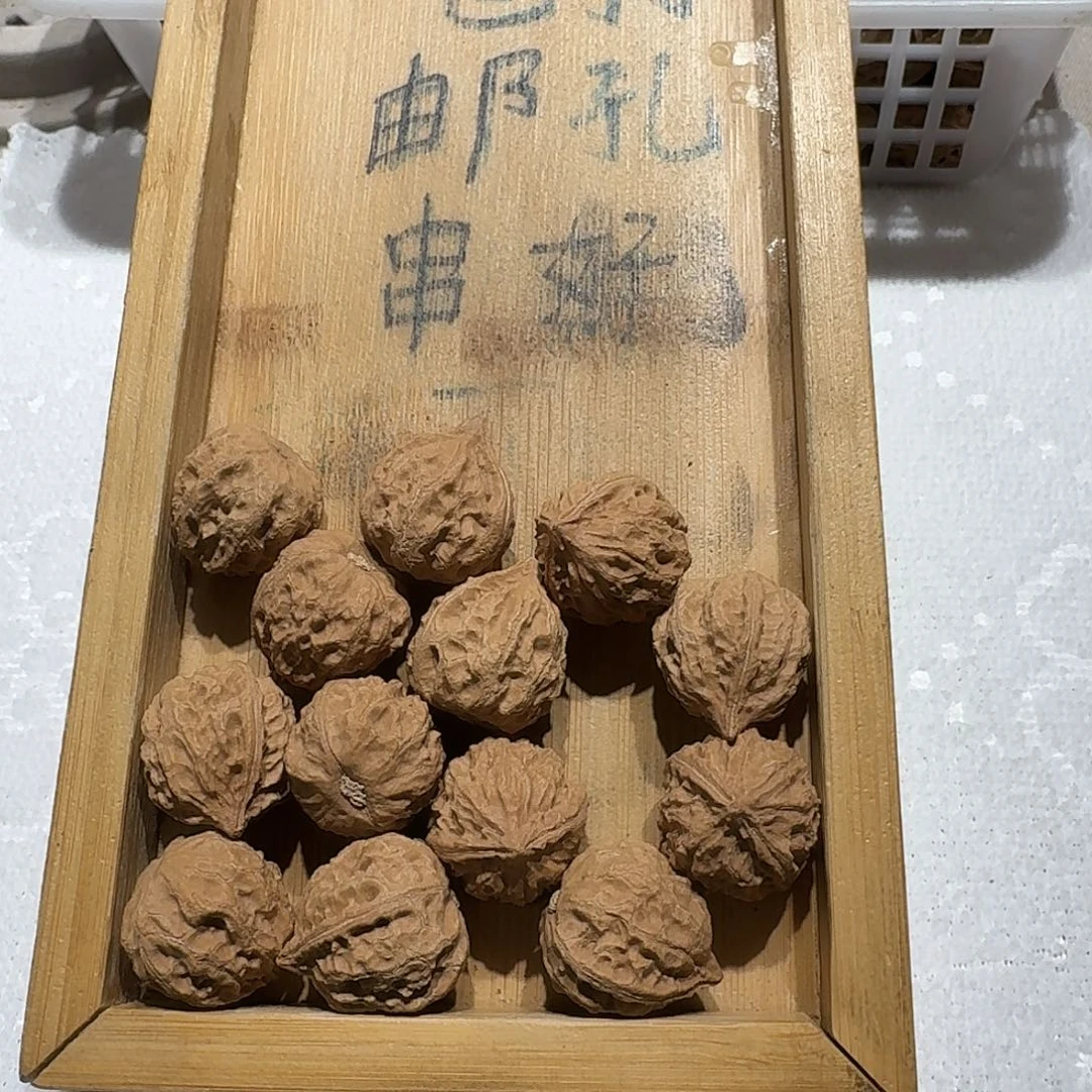 核桃手串/手链2号边22肚22高24