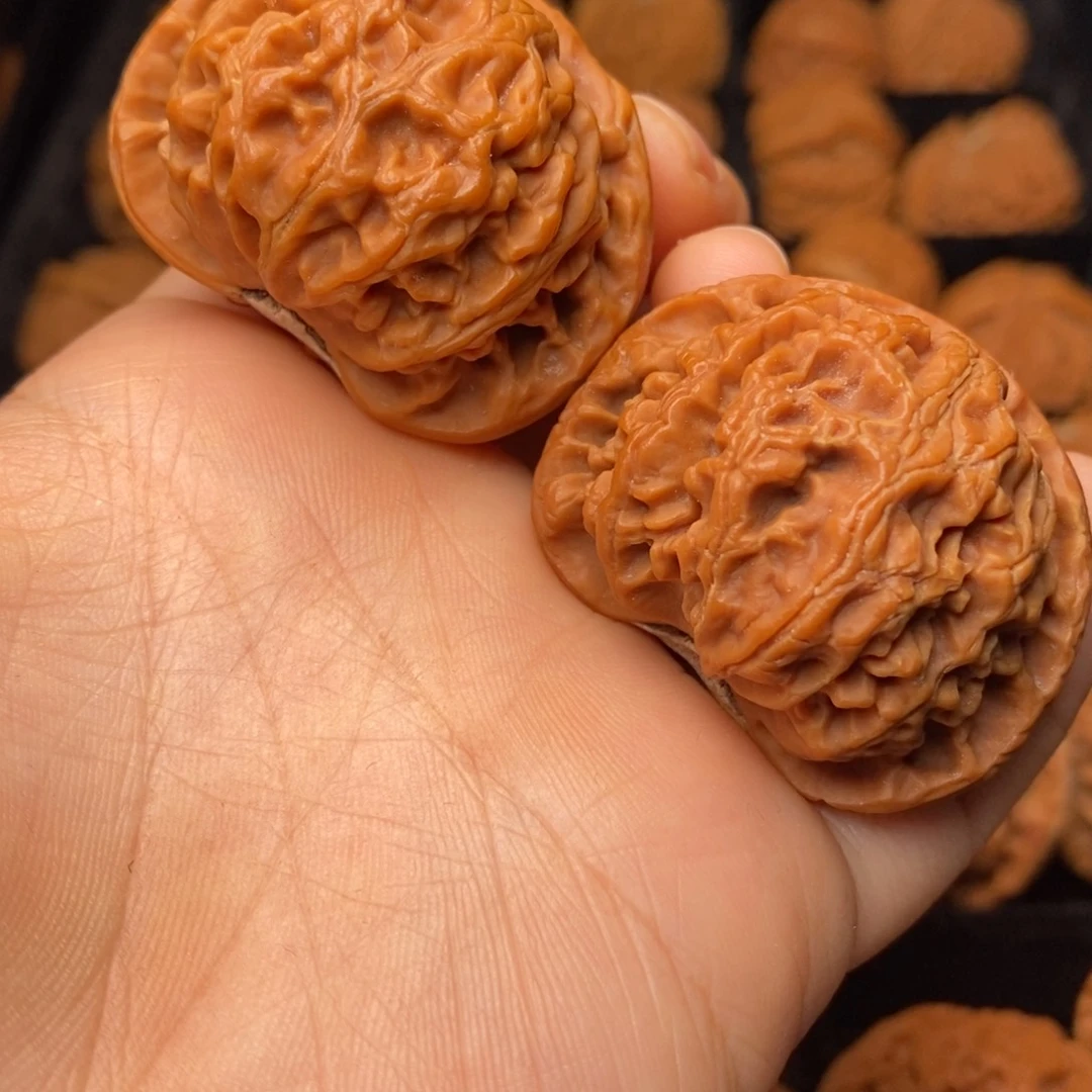 文玩核桃把件秦岭野生核桃